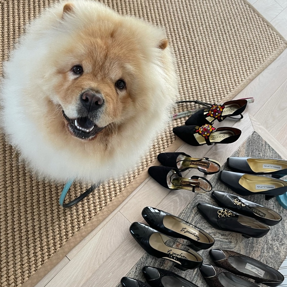 Meet your Posher, Jessierose